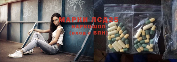 кокс Елизово