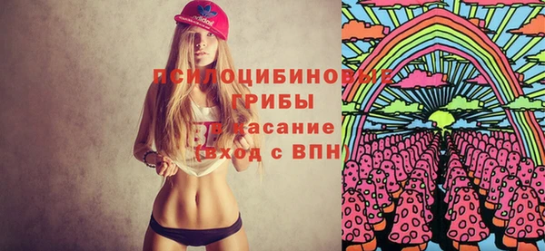 кокс Елизово