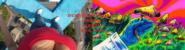 амфетамин Ельня