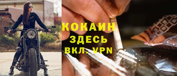 кокс Елизово